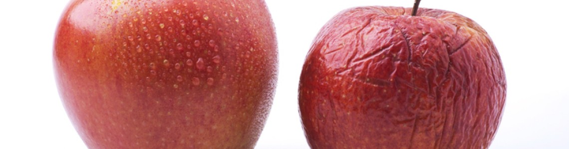 Het Verouderingsproces