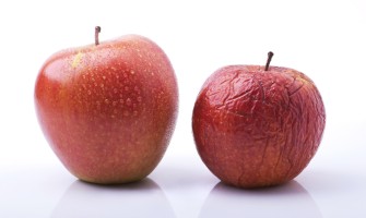 Het Verouderingsproces