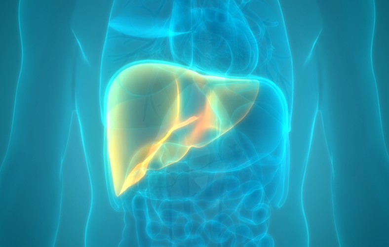 ReAge is Aanbieder van Hoogwaardige Voedingssupplementen, Gericht op de Diverse Aspecten van het Verouderingsproces.