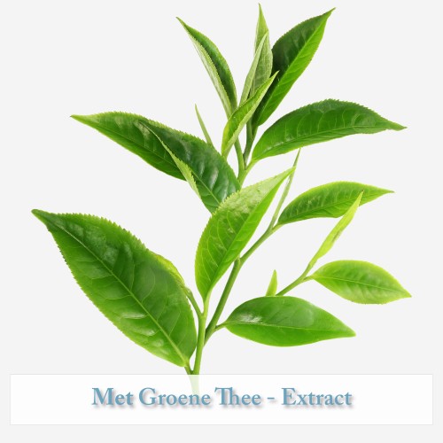 Calm & Relax - Relax