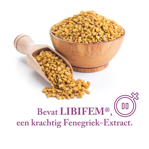 Femeno 3 - Gemoedstoestand & Intimiteit