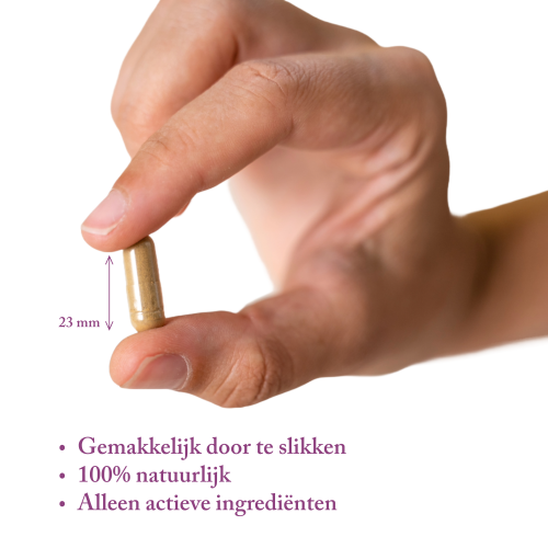 Femeno 2 - Hormonale Balans